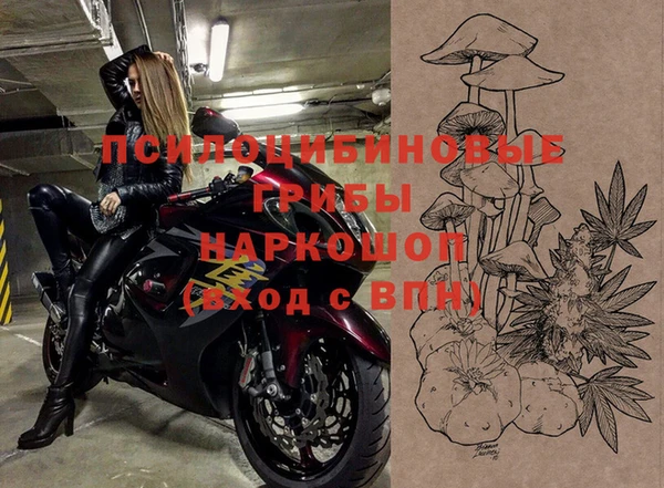 соль курить ск Ладушкин