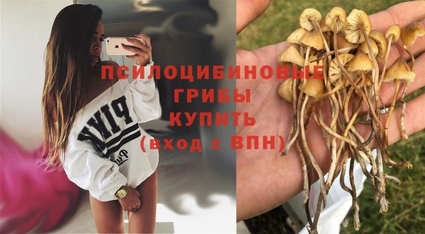 мдпв Лагань