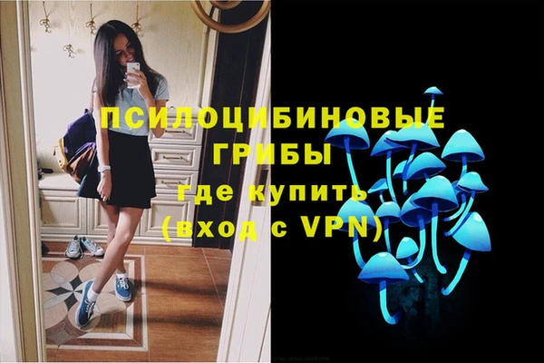 мдпв Лагань