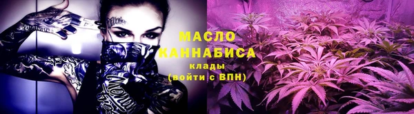мдпв Лагань
