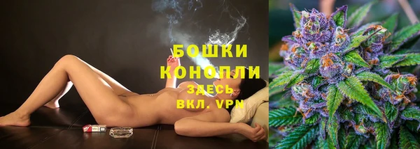 мдпв Лагань