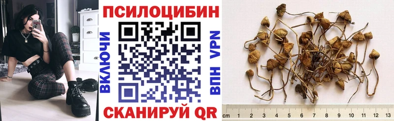 закладки  OMG ССЫЛКА  darknet клад  Мелеуз  Псилоцибиновые грибы Cubensis 
