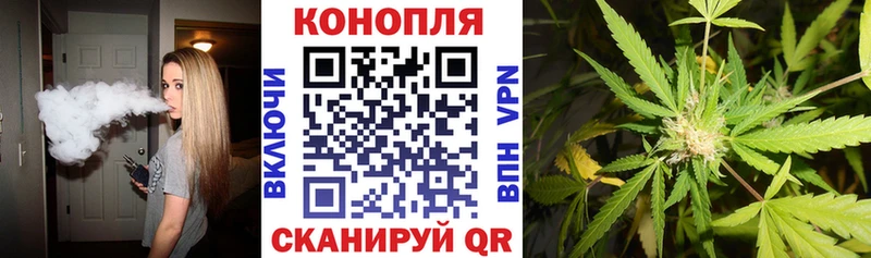 Шишки марихуана планчик  купить наркотик  Мелеуз 